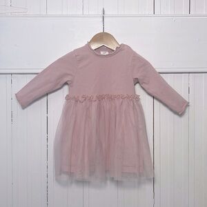 H&M EUC Dusty Rose Long Sleeve Ballet Tulle Dress